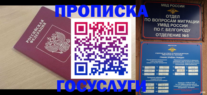 прописка законно в Тимашёвске